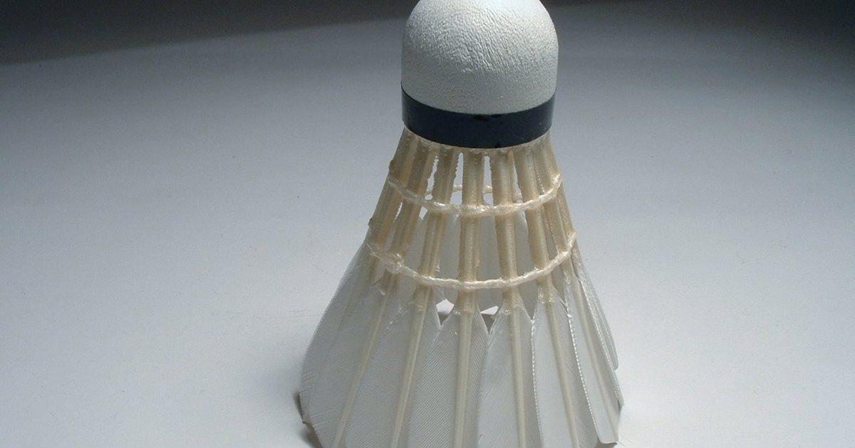 Badminton shuttlecock — 배드민턴 메달 뒤 숨은 무더기 출전 포기, 피로 누적 진짜인가